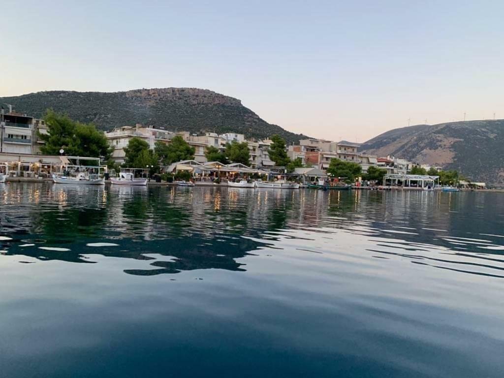 Porto Arimar Hotel Antikyra Zewnętrze zdjęcie